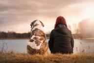 Как понять, что собака признала вас своим лидером: зоологи перечислили 5 признаков