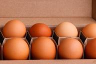 Необычный рецепт котлет из вареных яиц