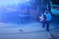 Уличная кошка набросилась на прохожего с собакой и стянула с него штаны