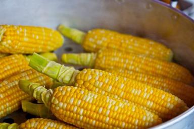 Диетолог объяснила, кому нельзя есть кукурузу 