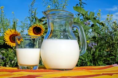Диетологи рассказали, какие три молочных продукта можно употреблять при похудении
