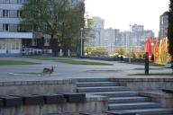 Новости сегодня: 619 случаев коронавируса в Беларуси за сутки, кадровый день у Лукашенко и обращение Тихановской к силовикам