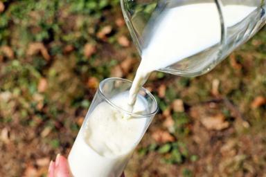 Ученые развеяли 3 популярных мифа о молоке