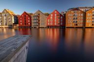 Новый вид коронавируса обнаружили в Норвегии