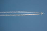 Насекомые отложили яйца в приборную панель самолета и сорвали рейс