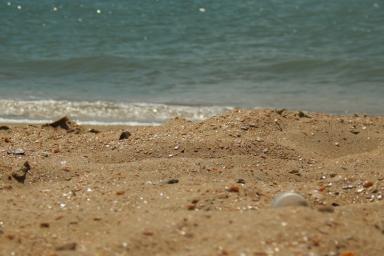 Случайно исполнили желание: Девушки нашли на пляже бутылку, а в ней мужчину