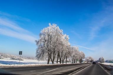 Такого декабря белорусы точно не ждут: прогноз погоды на месяц