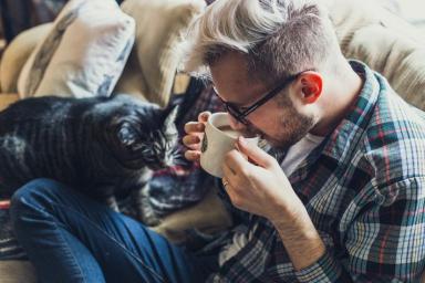 Как понять, что кошка вас любит: ученые назвали 5 признаков