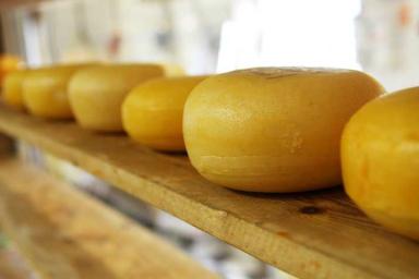 Как приготовить вкуснейшие сырные палочки в домашних условиях? Узнайте этот простой и быстрый рецепт