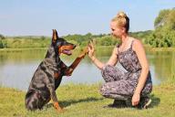 Аристократичные и отважные: каким людям стоит завести себе добермана