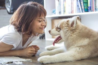 Эксперты объяснили, почему собака пытается лечить хозяина в случае болезни