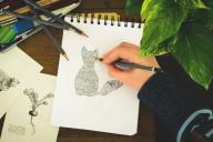 7 полезных привычек, которые смогут изменить вашу жизнь к лучшему