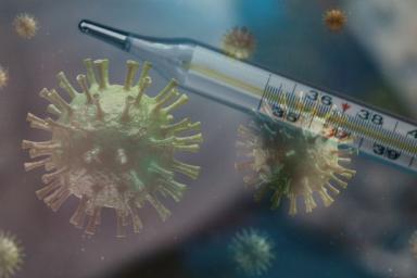 Ученые из Китая заявили о невиновности страны в появлении COVID-19: коронавирус мог возникнуть еще летом 2019 года