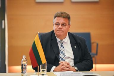 Линкявичюс пояснил, как Литва будет взаимодействовать с Беларусью