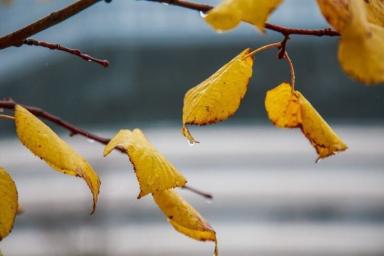 Готовим теплые вещи и зимнюю резину. Погода в Беларуси на неделю 9-15 ноября