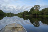 Ученые назвали самую опасную для человека реку в мире