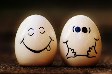 8 фактов про яйца, которые стыдно не знать 