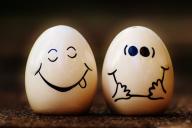 8 фактов про яйца, которые стыдно не знать 