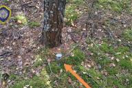 СК Беларуси завершил расследование дела о сбыте психотропов в особо крупном размере