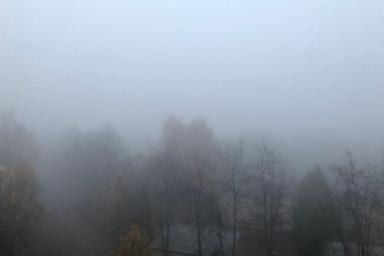 Осадки и туман: погода в Беларуси на 25 ноября