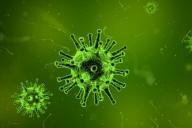 Ученые нашли способ уничтожить коронавирус за секунды