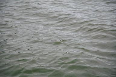 Отец и сын утонули в озере в Полоцком районе