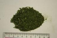 Задержанному на протестах минчанину предъявили обвинение в хранении наркотиков