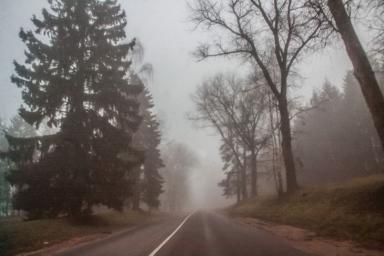 Тепло и небезопасно: Погода в Беларуси на 19 декабря
