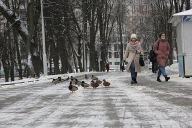 Зимний Минск глазами корреспондента: как проводят свободное время жители столицы
