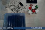 В Минске наркоконтроль выявил две «делянки» с психотропными грибами