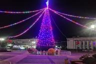 Посмотрите, на необычные елки в Гродно