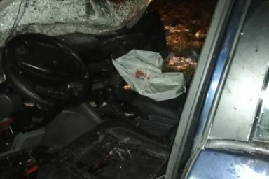 В результате ДТП в Рогачевском районе в автомобиле оказался зажат водитель: понадобилась помощь спасателей