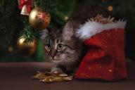 Как узнать, что произойдет в 2021 году: народные приметы, о которых мало кто знает