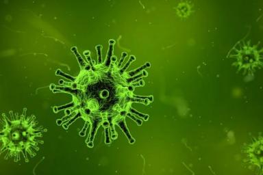 Обнаружен новый штамм коронавируса. На этот раз мутация SARS-CoV-2 выявлена в Нигерии
