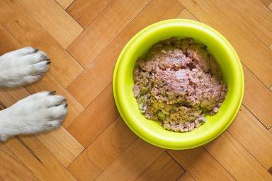 Какие 5 основных ошибок допускают хозяева собак при хранении сухого корма