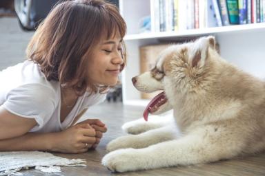 Какие 7 любопытных фактов о собаках стоит знать: мнение специалистов