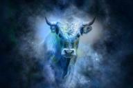 Белый Металлический Бык: чего ждать от 2021 года и чего избегать