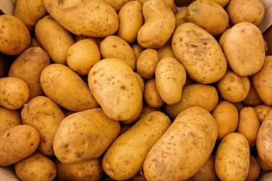 Медик перечислила самые опасные способы употребления картофеля