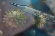 Ученые обнаружили природное средство, уничтожающее коронавирус