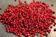 Эксперты рассказали, какие плоды и ягоды помогут улучшить здоровье