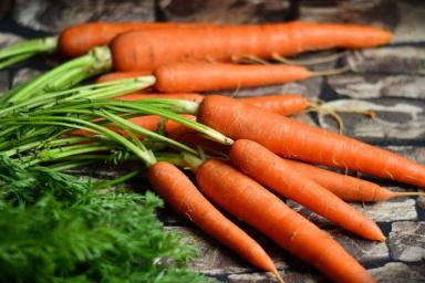 Какой группе людей полезна морковь: выводы исследователей