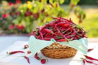 Какие 3 простых продукта ускорят процесс обмена веществ: возьмите на заметку