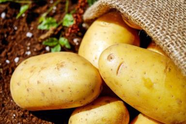 7 интересных фактов о картофеле, о которых не догадываются