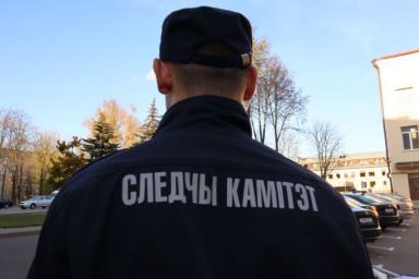 «Чтобы новогодние праздники не были омрачены трагедией»: СК обратился к белорусам