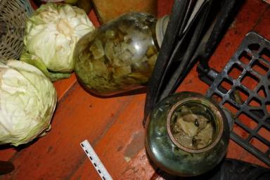 В Добрушском районе двое мужчин отравились грибами и умерли