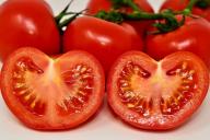 От чего у томата бывают белые прожилки: 5 причин