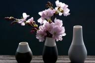 Как улучшить качество воздуха в квартире без покупки специальных гаджетов: названы простые способы