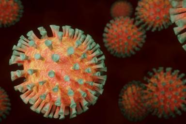 Ученые подтвердили популярную гипотезу о коронавирусе