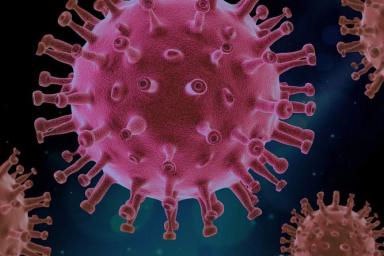 Человечеству грозит новый опасный вирус: предупреждение ученых