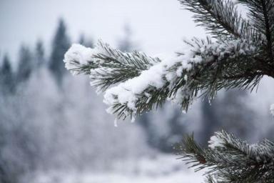 Снова туман и гололедица: на 2 января в Беларуси объявлен желтый уровень опасности 